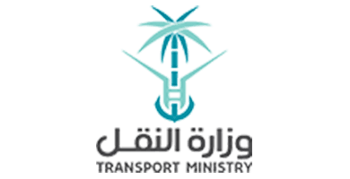 Strategic Partner 6